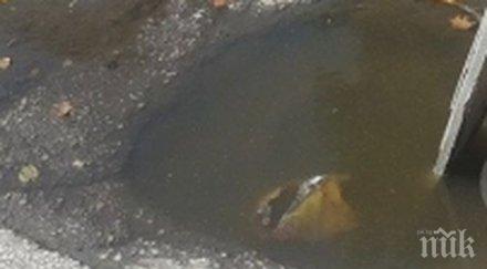 невиждано робот трансформърс пълни дупки пловдив