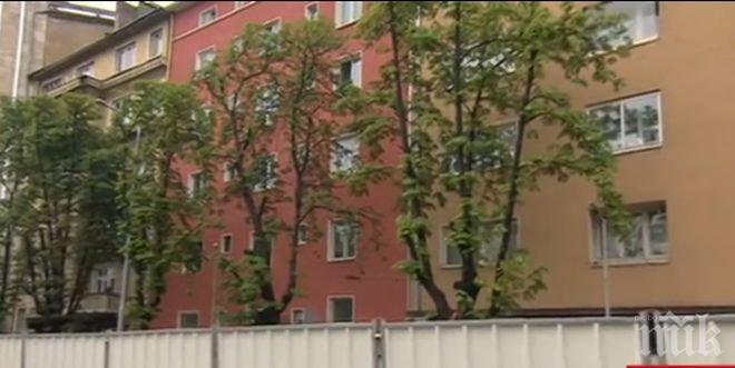 СКАНДАЛНО! Ще възстановят ли отрязаните кестени на Патриарха? От метрополитена обещават до следващата есен