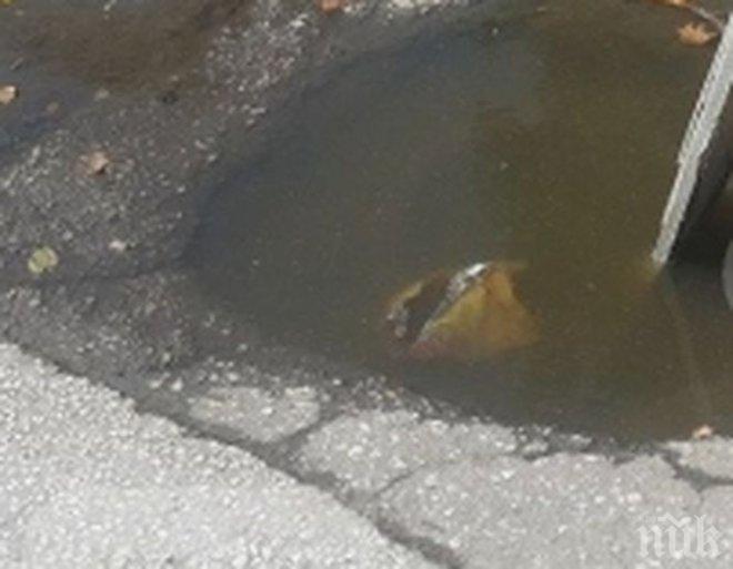 НЕВИЖДАНО! Робот от Трансформърс пълни дупки в Пловдив