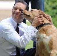 Лична драма! Актьорът Том Харди загуби кучето си. Написа му прощално писмо (ВИДЕО)