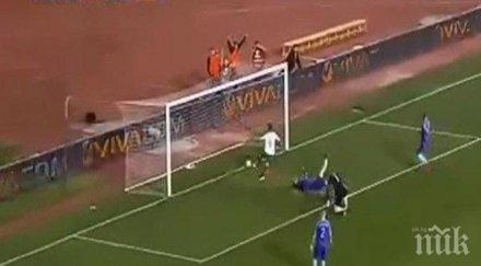 отлична статистика лъвовете