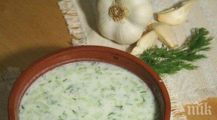 чудо диета таратор топи кила две седмици рецепта