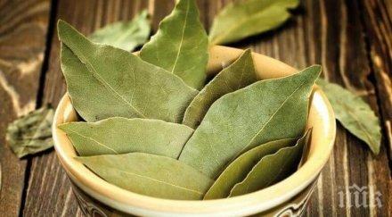 вижте 100 процентов лек изпотяването