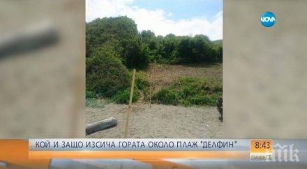 съсипват поредния плаж концесионерът култов сечта действие минало забележа