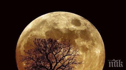 внимавайте луната апогей благоприятно толкова опасно