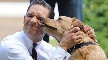 лична драма актьорът том харди загуби кучето написа прощално писмо видео