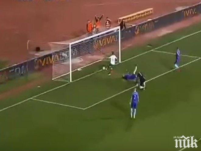 Отлична статистика за лъвовете