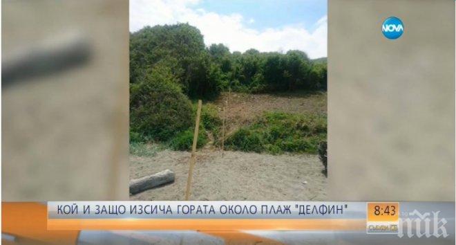 СЪСИПВАТ ПОРЕДНИЯ ПЛАЖ: Концесионерът култов: Сечта е действие, което е минало и няма как да го забележа