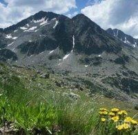 Две подписки за Пирин внесени в Министерски съвет