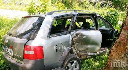 черна статистика началото годината загинали 247 души 2517 тежки инцидента пътя