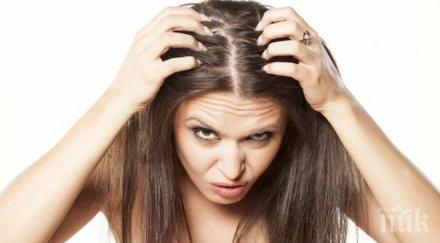 изненадващи фактора омазняват косата