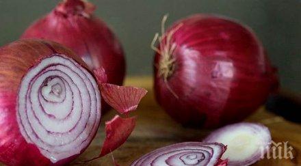 червеният лук кара раковите клетки самоизяждат