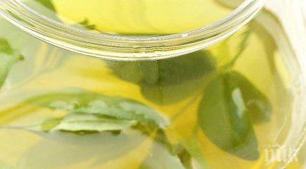 билков целебник предлага рецепти 150 лековити растения търсете книгата вестникарските павилиони