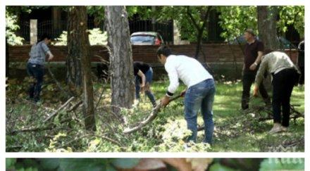 корояди нападнаха горите родопите положението катастрофално