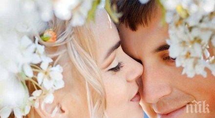 зодии подходящи създаване семейство