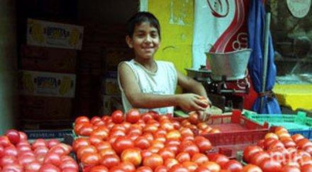 5283 деца били наети работа нас миналата година