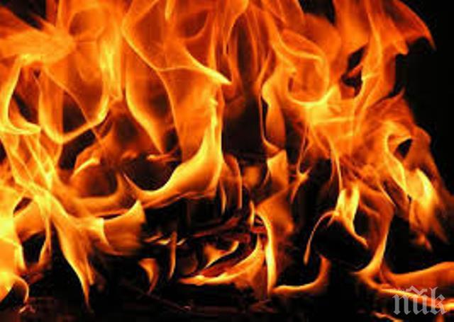 ОГНЕН АД! Изгоря ресторант на къмпинг Смокиня (ВИДЕО)