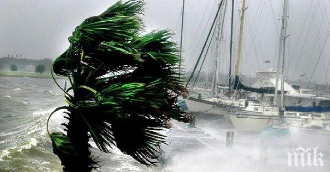 Тропическа буря „Калвин“ ще донесе проливни дъждове в южните щати на Мексико