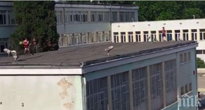 Безумие! Деца играят на покрива на училище във Варна (ВИДЕО)