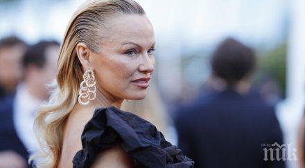 памела андерсън моли европейски лидери дайте убежище сексапилния джулиан асанж