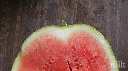 забележите пукнатини месестата част динята хвърлете веднага