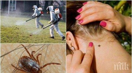 голяма напаст професор съветва пазим кърлежите носят лаймска болест