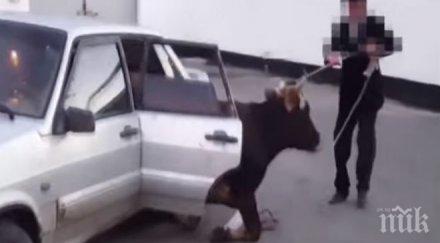 невероятно полицаи спряха проверка лада откриха вътре возикрава видео