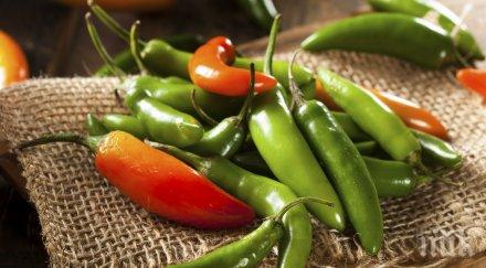 хапвайте люти чушлета нормално кръвно