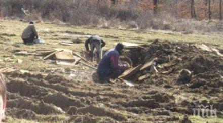афп изригна произходът съвременния човек търси българия