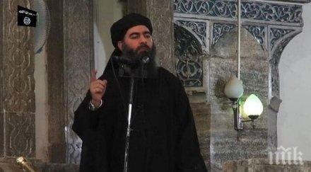 египетски експерт новината гибелта лидера доведе стратегически промени