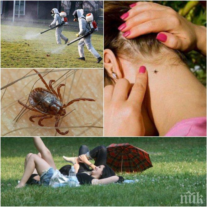 ГОЛЯМА НАПАСТ! Професор съветва как да се пазим от кърлежите! Кои носят лаймска болест...