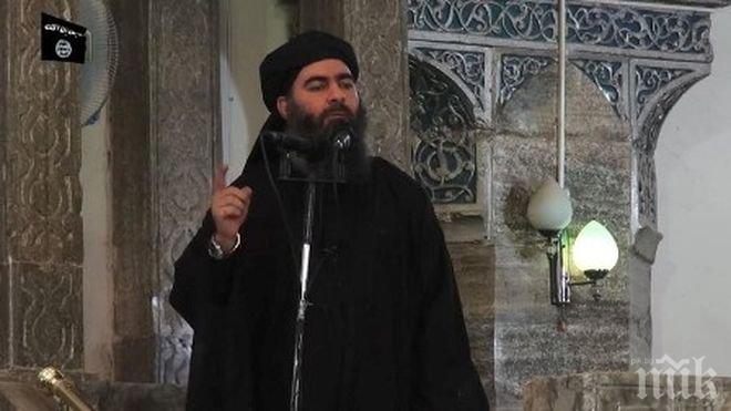 Египетски експерт: Новината за гибелта на лидера на ИД няма да доведе до стратегически промени