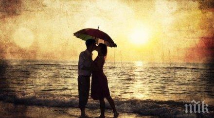 внимание дами намерите своята сродна душа