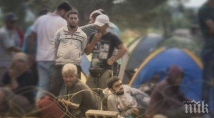 рекорд млн бежанци напуснали домовете края 2016 година