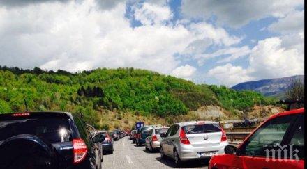 пазарджик предложение изсече дърветата около магистралите пътна агенция дава