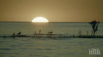 издирването децата изчезнали ладожкото езеро включиха втори хеликоптер водолази