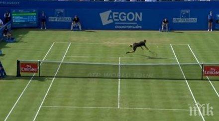 гришо полудя ударът сезона видео