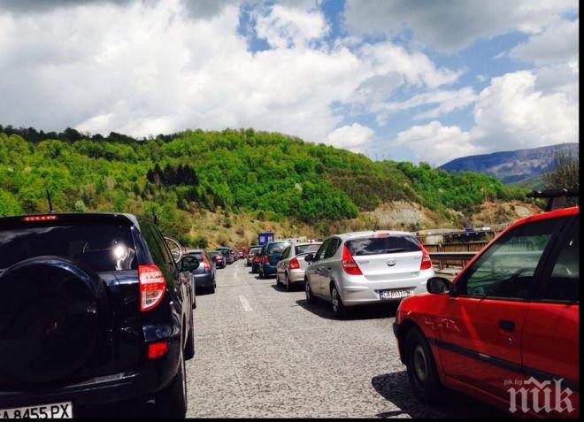 Пазарджик с предложение да изсече дърветата около магистралите, Пътна агенция не дава