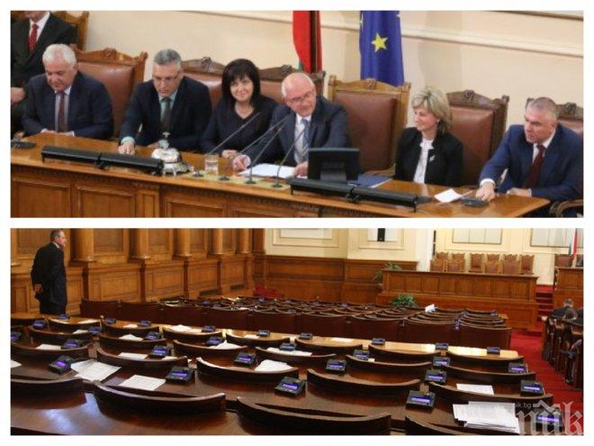 ШОУ В ПАРАЛАМЕНТА! Мъртви насекоми стряскат депутатите във ведомствения стол (СНИМКИ)