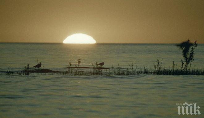 В издирването на децата, изчезнали в Ладожкото езеро се включиха втори хеликоптер и водолази