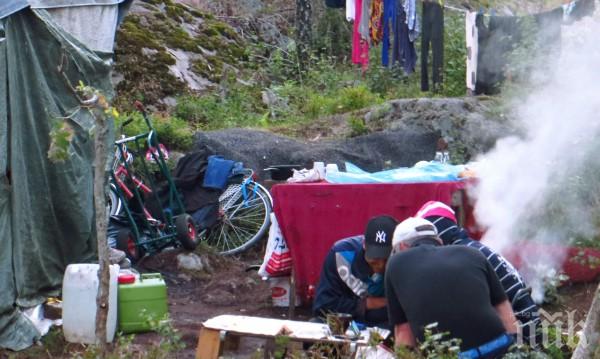 Скандинавските страни пропищяха от български и румънски роми