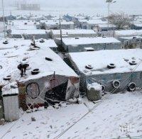 Мигранти от Армения влезли в Норвегия през Арктика