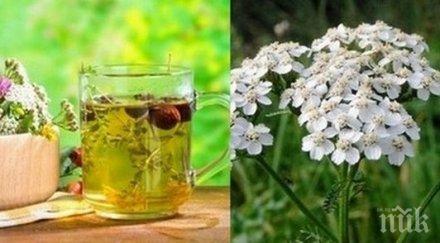 полезно жени критическата бял равнец