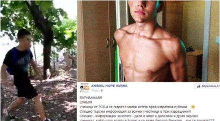 първо пик шокираща гавра ученици варна млатят беззащитни котенца боксова круша скандално видео