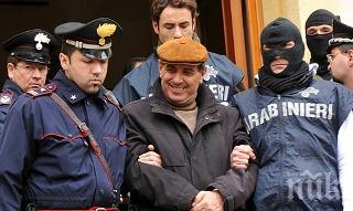 италианската мафия налази здраво холандия белгия германия