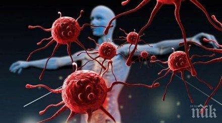 тест проверете добре работи имунната система