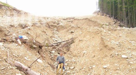 екоминистерството против сеч 000 дка гори пирин