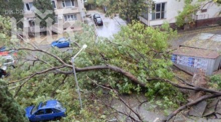 клон падна главата жена