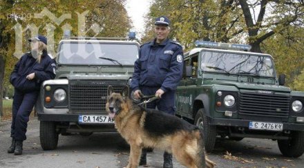 масови хайки дрога спазване вечерния час