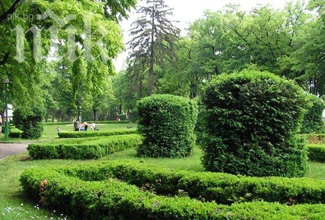 Пръскат срещу кърлежи и комари в София